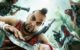 Ubisoft Store Kini Tengah Gratiskan Far Cry 3